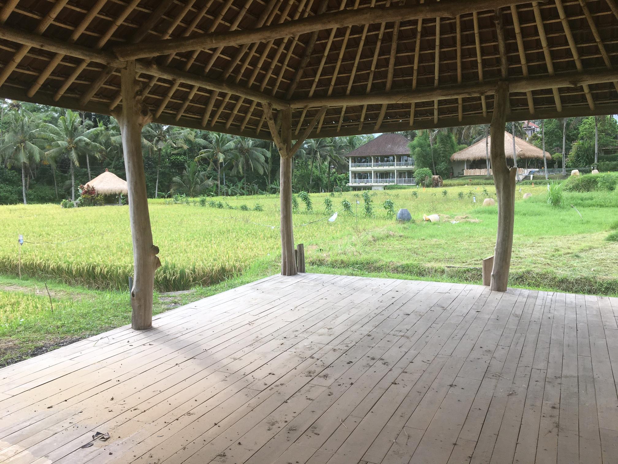 Mathis Retreat Ubud Екстериор снимка