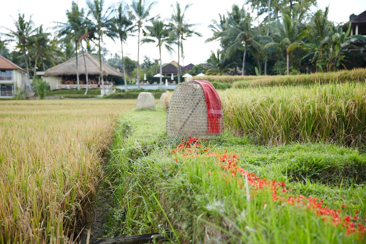 Mathis Retreat Ubud Екстериор снимка